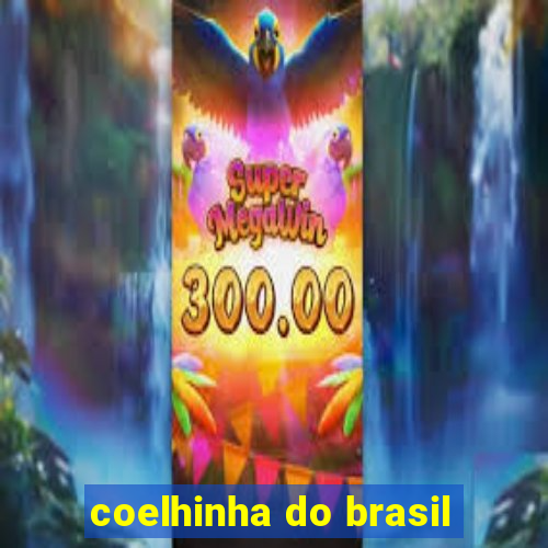 coelhinha do brasil