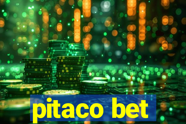 pitaco bet