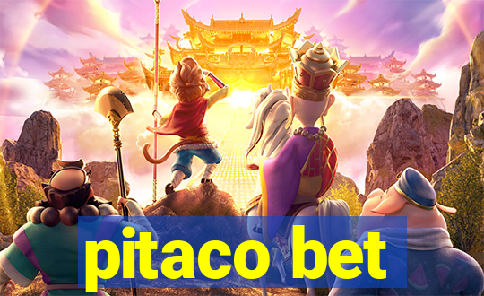 pitaco bet