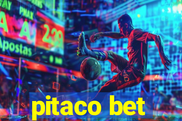 pitaco bet