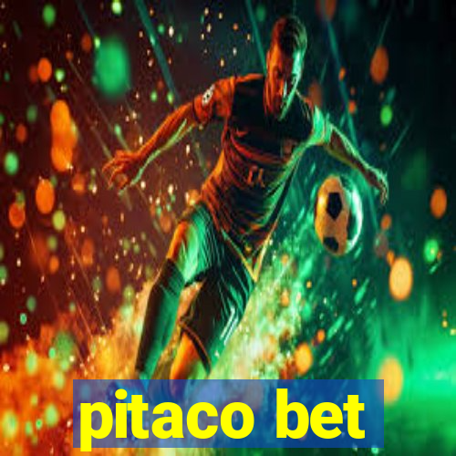 pitaco bet