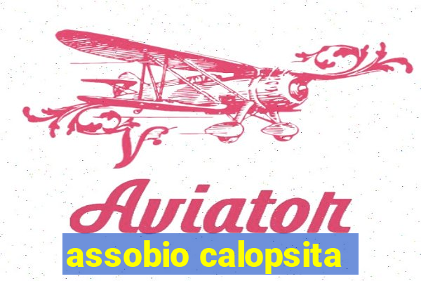 assobio calopsita
