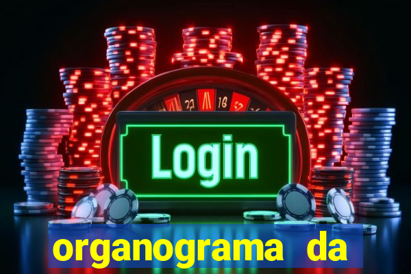 organograma da cacau show