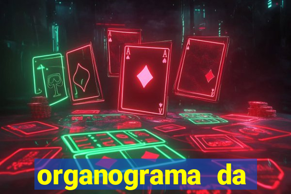 organograma da cacau show