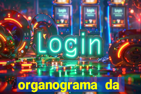 organograma da cacau show
