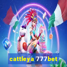 cattleya 777bet