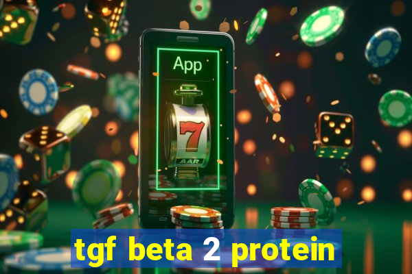 tgf beta 2 protein