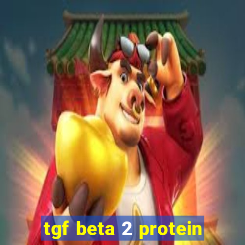 tgf beta 2 protein
