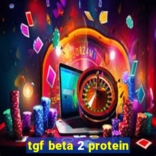 tgf beta 2 protein