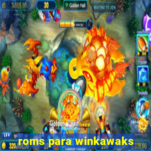 roms para winkawaks