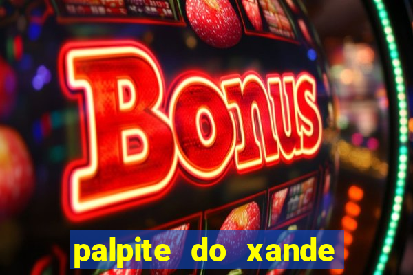 palpite do xande de hoje