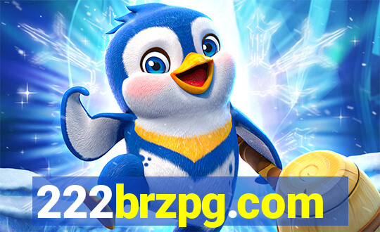 222brzpg.com