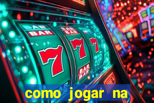 como jogar na lotinha do jogo do bicho