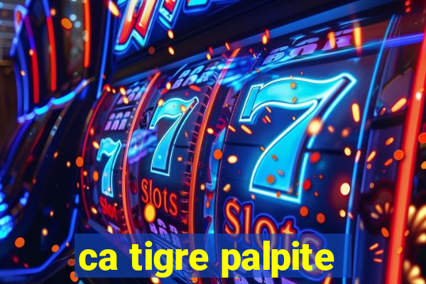 ca tigre palpite