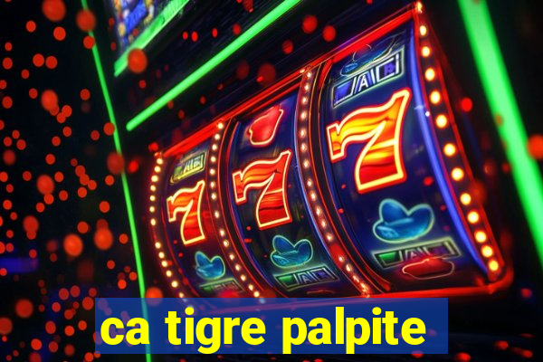 ca tigre palpite