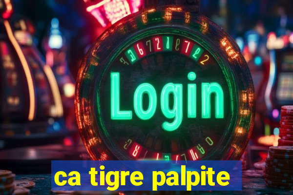 ca tigre palpite