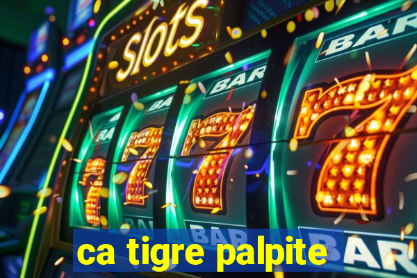 ca tigre palpite