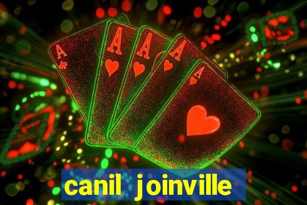 canil joinville vila nova