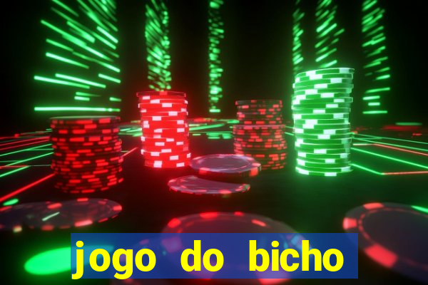 jogo do bicho crash bingo