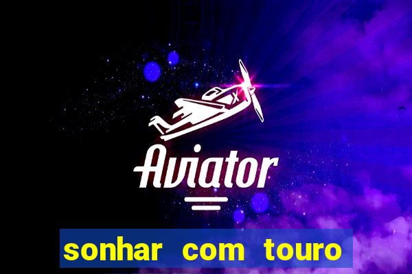 sonhar com touro bravo no mundo espiritual