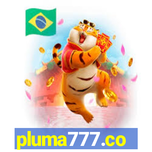 pluma777.co