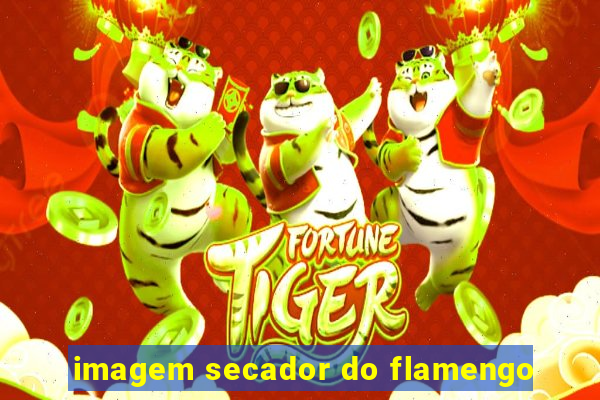 imagem secador do flamengo