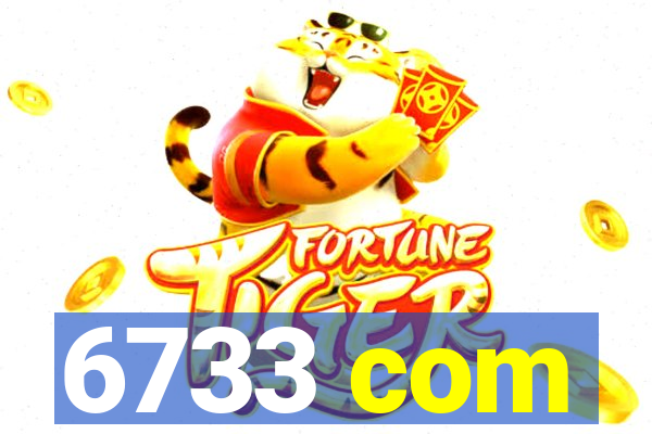 6733 com