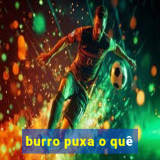 burro puxa o quê