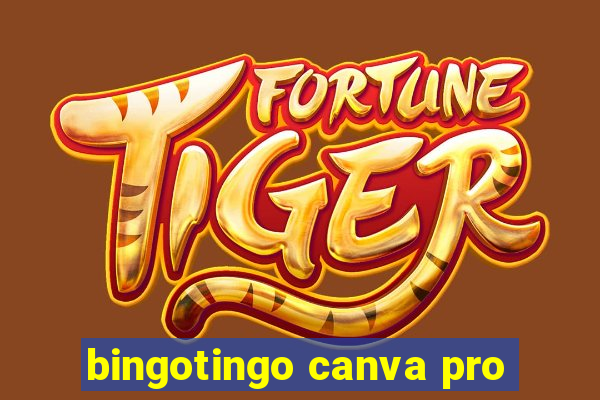 bingotingo canva pro