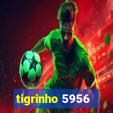 tigrinho 5956