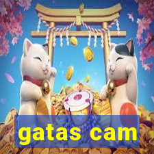 gatas cam