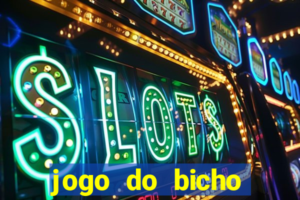 jogo do bicho tipos de apostas