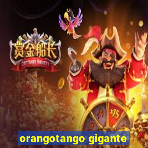 orangotango gigante