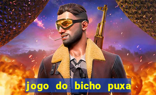 jogo do bicho puxa de dona maria
