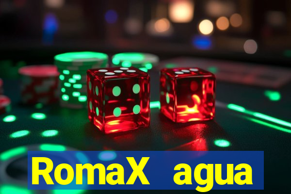 RomaX agua sanitaria fispq agua sanitaria romax