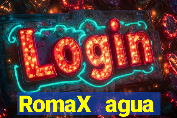 RomaX agua sanitaria fispq agua sanitaria romax