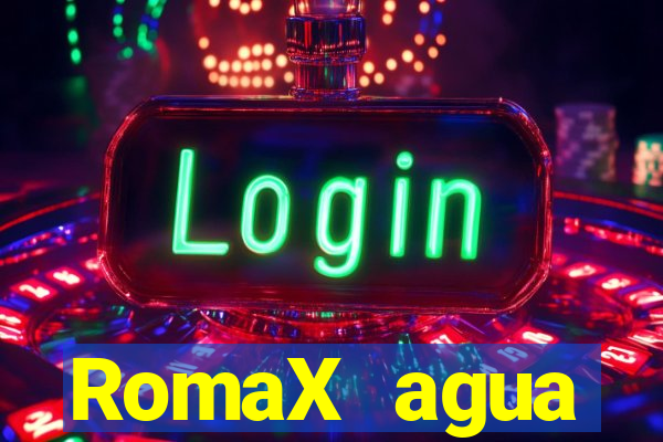 RomaX agua sanitaria fispq agua sanitaria romax