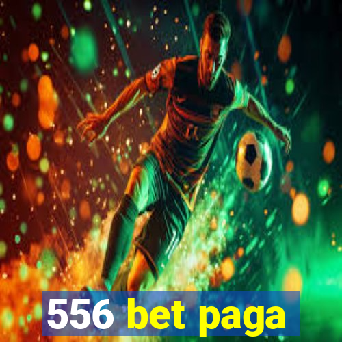 556 bet paga