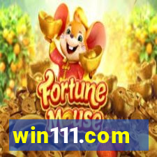 win111.com