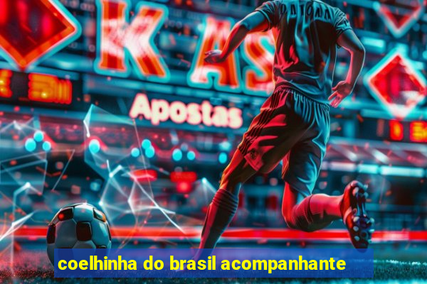 coelhinha do brasil acompanhante