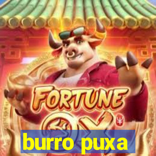 burro puxa
