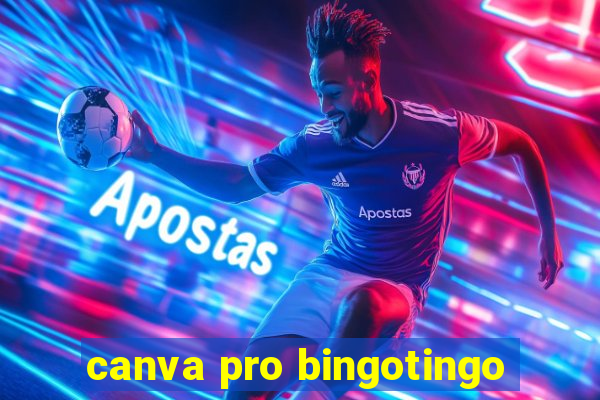 canva pro bingotingo