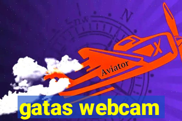 gatas webcam
