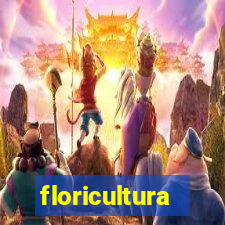 floricultura juazeiro bahia