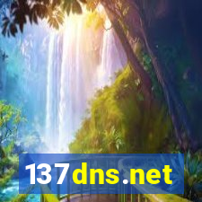 137dns.net