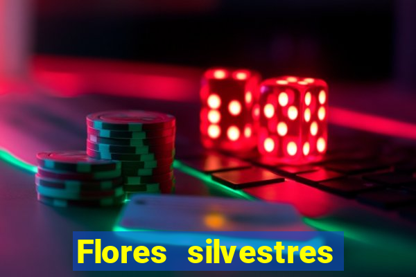 Flores silvestres brasileiras brasileiras flores silvestres nomes e imagens