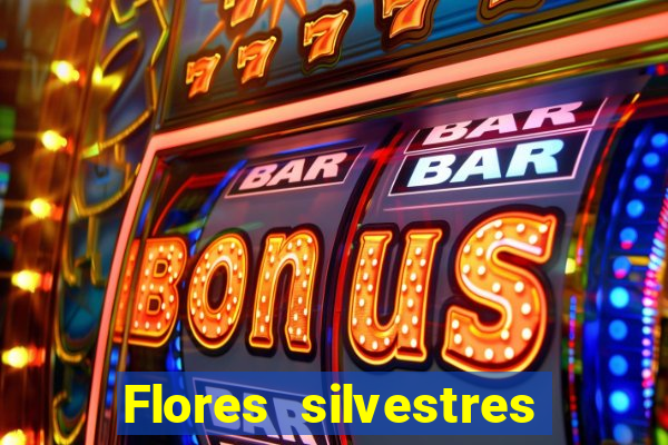 Flores silvestres brasileiras brasileiras flores silvestres nomes e imagens
