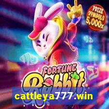 cattleya777.win