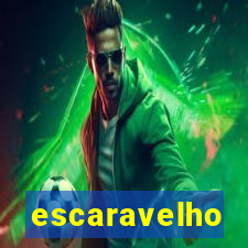 escaravelho significado espiritual
