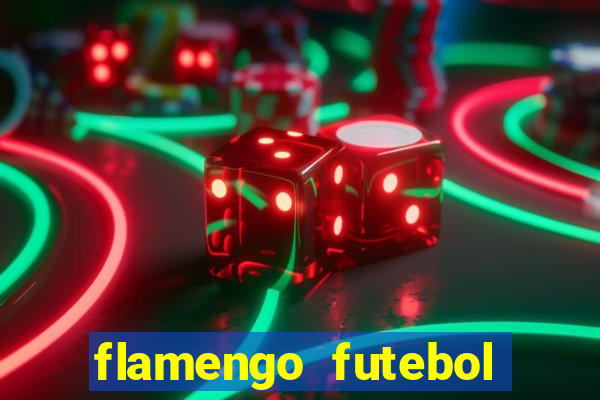 flamengo futebol play hd
